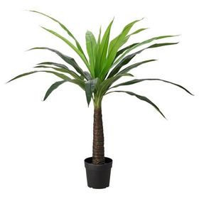 IKEA FEJKA Yapay Bitki Palmiye 24 cm