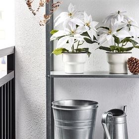 IKEA FEJKA Yapay Saksı Bitkisi Beyaz 12 cm