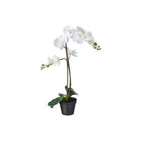 IKEA FEJKA Yapay Saksı Bitkisi Beyaz 12 cm