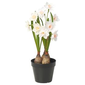 IKEA FEJKA Yapay Saksı Bitkisi Beyaz 9 cm