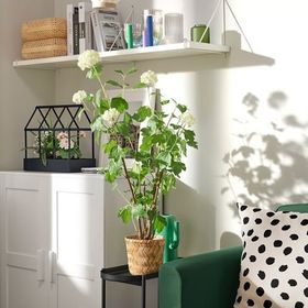 IKEA FEJKA Yapay Saksı Bitkisi Beyaz 9 cm