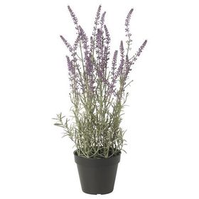 IKEA FEJKA Yapay Saksı Bitkisi Lila 9 cm