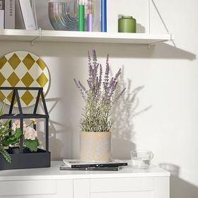 IKEA FEJKA Yapay Saksı Bitkisi Lila 9 cm