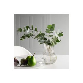 IKEA Padrag 17 cm Saydam Cam Vazo