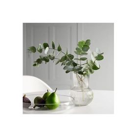 IKEA Padrag 17 cm Saydam Cam Vazo