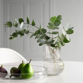 IKEA Padrag 17 cm Saydam Cam Vazo