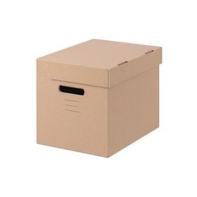 IKEA Pappis Kahverengi 25x34x26 cm Kapaklı Kutu