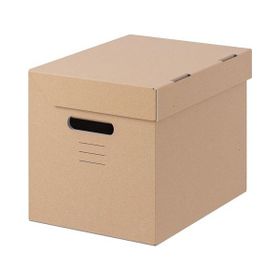 IKEA Pappis Kahverengi 25x34x26 cm Kapaklı Kutu