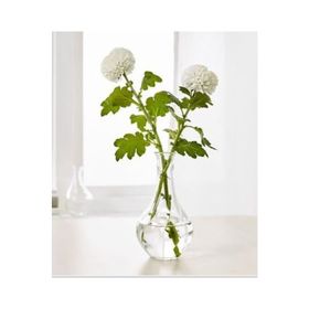 IKEA VILJESTARK Vazo Cam 17 cm