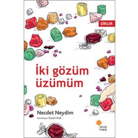 İKİ GÖZÜM ÜZÜMÜM - NECDET NEYDIM