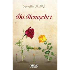 İki Hemşehri - Seyfettin Dilekçi
