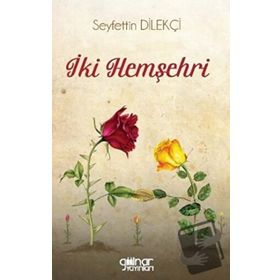 İki Hemşehri - Seyfettin Dilekçi