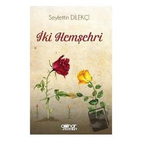 İki Hemşehri - Seyfettin Dilekçi