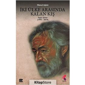 İki Ülke Arasında Kalan Kış - Mesut Aşkın