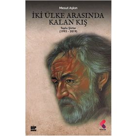 İki Ülke Arasında Kalan Kış - Mesut Aşkın