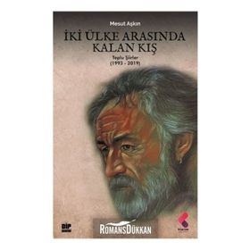 İki Ülke Arasında Kalan Kış - Mesut Aşkın