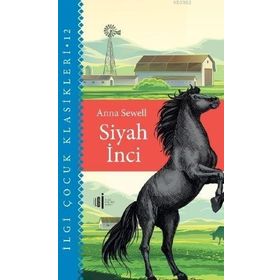 İlgi Kültür Sanat Yayıncılık Siyah İnci