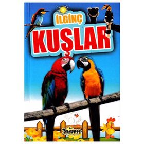 İlginç Kuşlar - M. Cüneyt Özcan