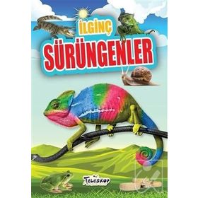 İlginç Sürüngenler - M. Cüneyt Özcan