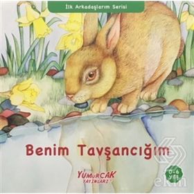 İlk Arkadaşlarım Serisi-2 Kitap Takım - Kolektif