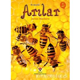 İlk Okuma - Arılar - James Maclaine