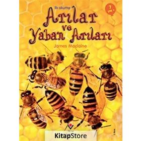 İlk Okuma - Arılar - James Maclaine