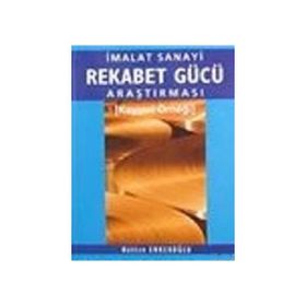 İMALAT SANAYI REKABET GÜCÜ ARAŞTIRMASI KAYSERI ÖRNEĞİ - HATICE ERKEKOĞLU