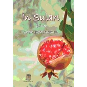In Suları- Türkan Söğüt Gezer