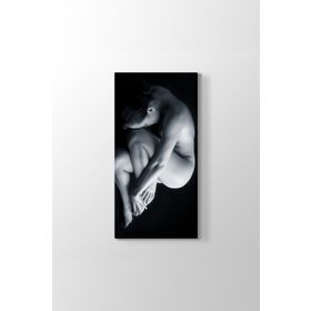 In The Womb Tablosu