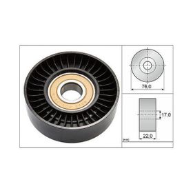 İna 531067730 Alternatör Gergi Rulmanı