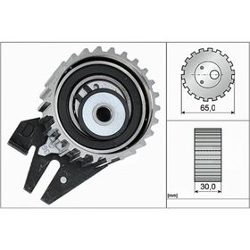 İna 531084410 Triger Gergi Rulmanı