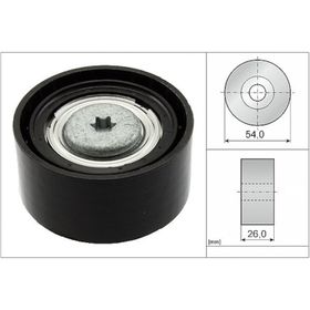 İna 532067210 Kayış Gergi Rulmanı
