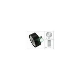 İna 532072010 Mini R55 R56 R57 R58 R59 R60 R61 V Kayış Gergi Rulmanı