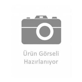 İna 535001210 Caddy Alternatör Kasnağı