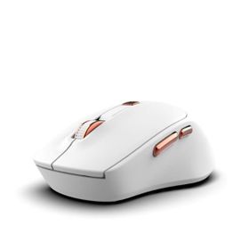 Inca IWM-244R Optik Sessiz Kablosuz Mouse