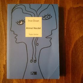 İNCE DIVAN - TOPLU ŞİİRLERİ - AHMET NECDET