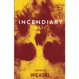Incendiary - Chris Cleave