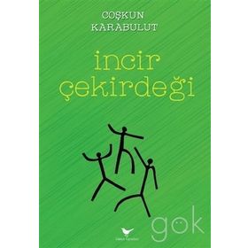 İncir Çekirdeği - A. Haluk Dursun