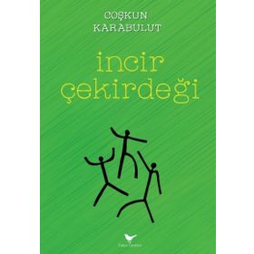 İncir Çekirdeği - A. Haluk Dursun