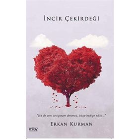 İncir Çekirdeği - Erkan Kurman - Milay Yayınları