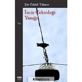 İNCİR ÇEKİRDEĞİ YANIĞI - ŞİİR ERKÖK YILMAZ