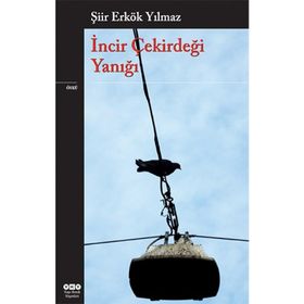 İNCİR ÇEKİRDEĞİ YANIĞI - ŞİİR ERKÖK YILMAZ