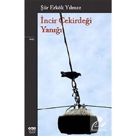 İNCİR ÇEKİRDEĞİ YANIĞI - ŞİİR ERKÖK YILMAZ
