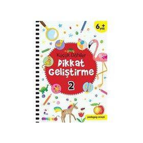 İndigo Çocuk Küçük Dahiler Dikkat Geliştirme 2