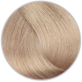 Inebrya 10.13 Platinum Blonde Ash Golden 100 ml Saç Boyası