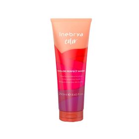 Inebrya 250 ml Color Perfect Mask Renk Koruyucu Saç Maskesi