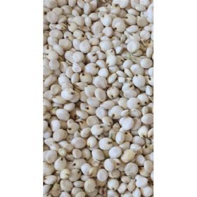 İngro 5 kg Beyaz Sorgum Tohumu