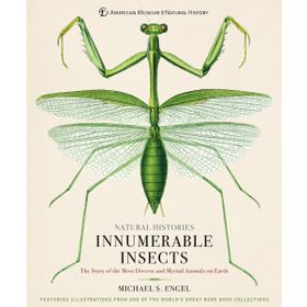Innumerable Insects - Michael S. Engel