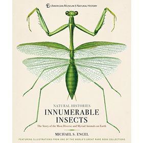 Innumerable Insects - Michael S. Engel