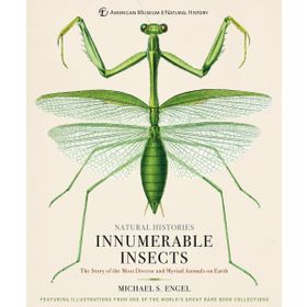 Innumerable Insects - Michael S. Engel